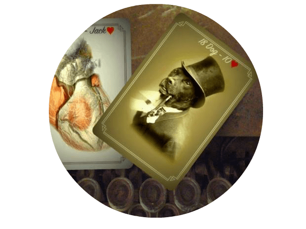 10426620_812061382222526_604082763166029656_n