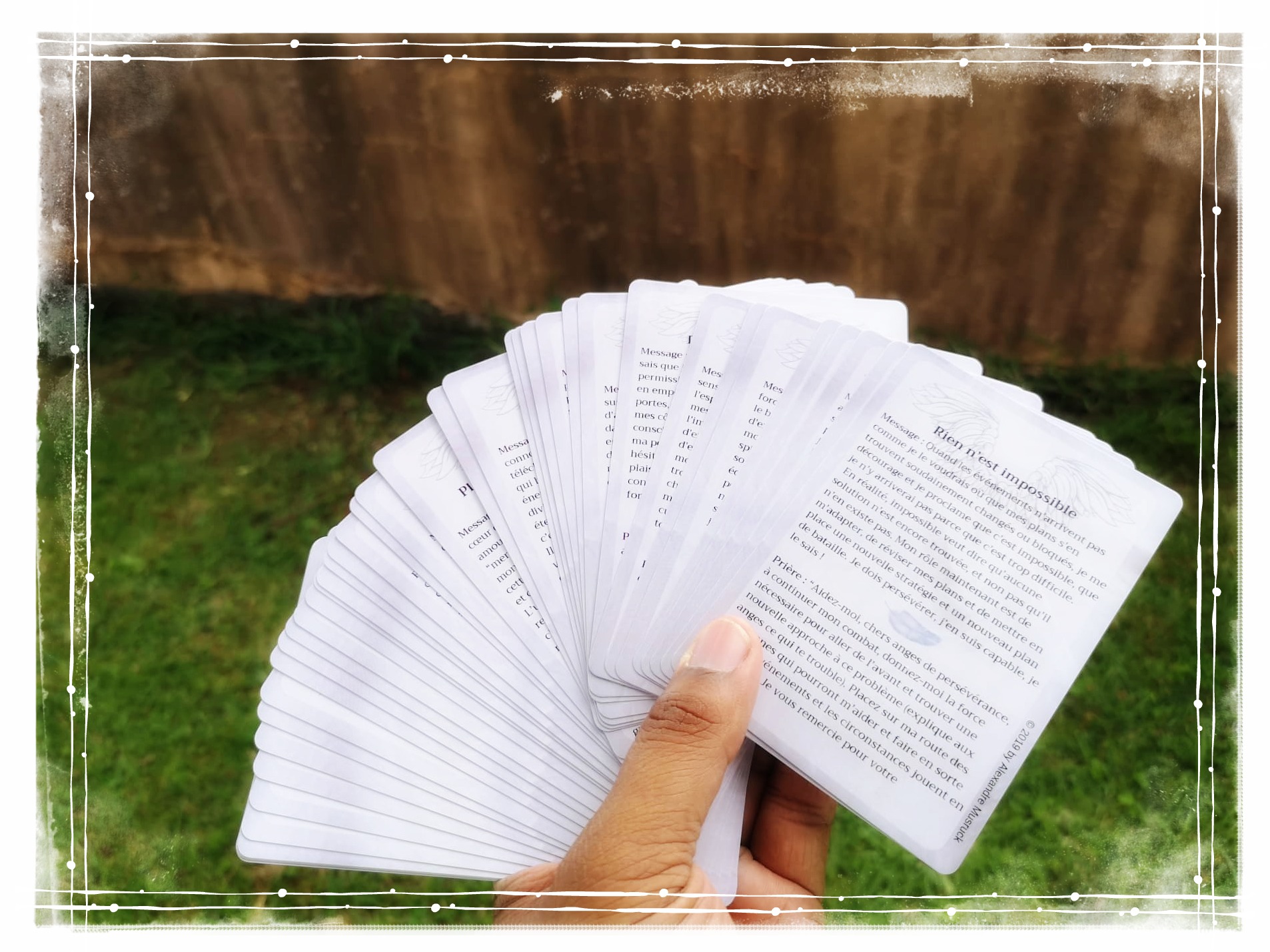 56816012_535817717241852_890830698850549760_n