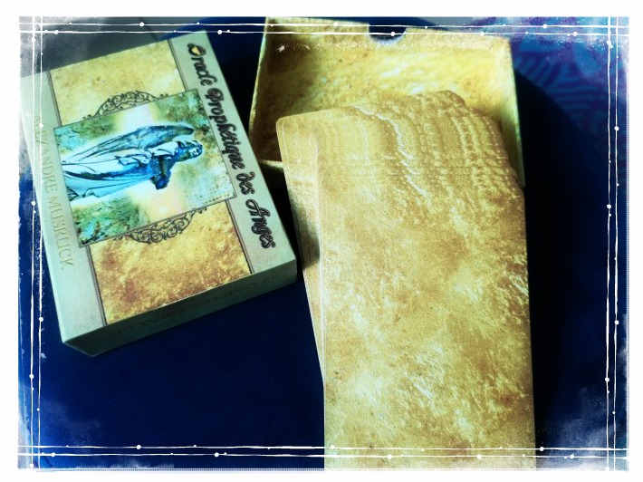 img_20190216_0736584205277782368885797 (1)